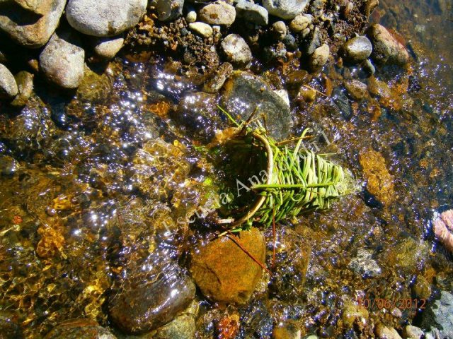 EXPEDICIONES POR EL RÍO
