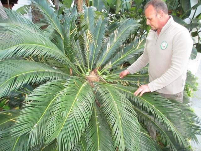MONOGRÁFICO SUPERVIVENCIA EN ISLA