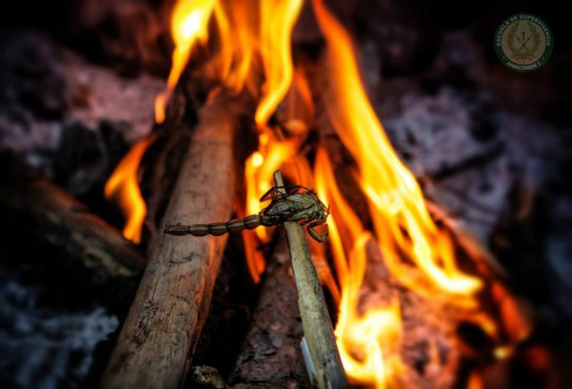 CBS 1514 – CURSO BÁSICO DE SUPERVIVENCIA